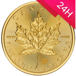 Złota moneta Kanadyjski Liść Klonowy 2025 1 oz (24h)