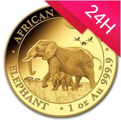 Złota moneta z serii African Wildlife: Słoń Somalijski 2022 1 oz (24h)