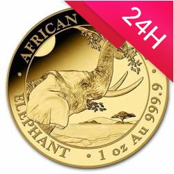 Złota moneta z serii African Wildlife: Słoń Somalijski 2023 1 oz (24h)