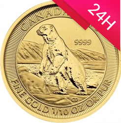 Złota moneta Niedźwiedź Polarny 2019 1/10 oz (24h)
