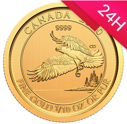 Złota moneta Orzeł Canada 2020 1/10 oz (24h)