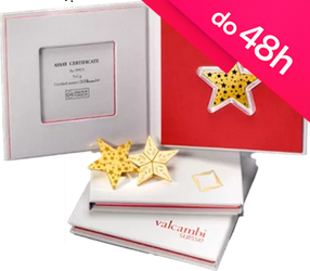 Combistar - 5 x złota sztabka 1 g (48h)